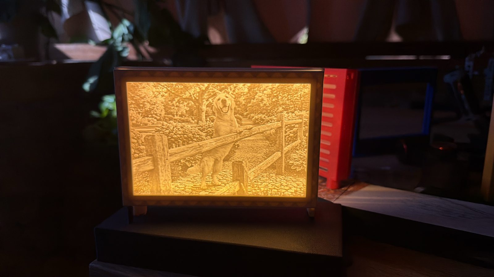 Cornice luminosa con litofania di un golden retriever, accesa